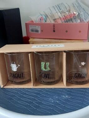 Rae Dunn Clear Glass Succulent Or Votive Set with Green Accents